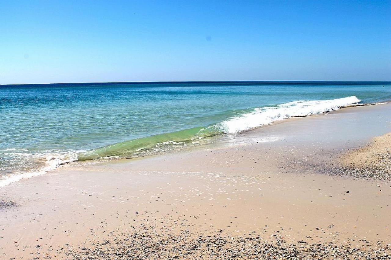 Phoenix East 707 Hotel Orange Beach Esterno foto
